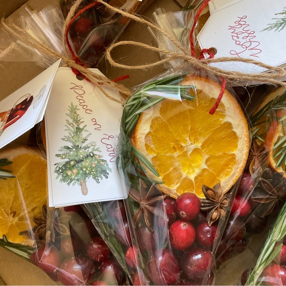 Holiday Simmer Pot Cones